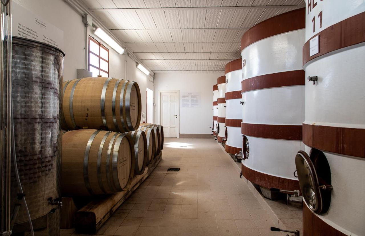 Monna Caterina Wine Resort Винчи Екстериор снимка